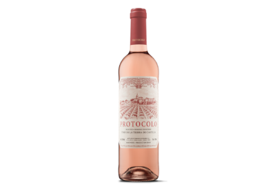 Protocolo-Rosado-1550497492624